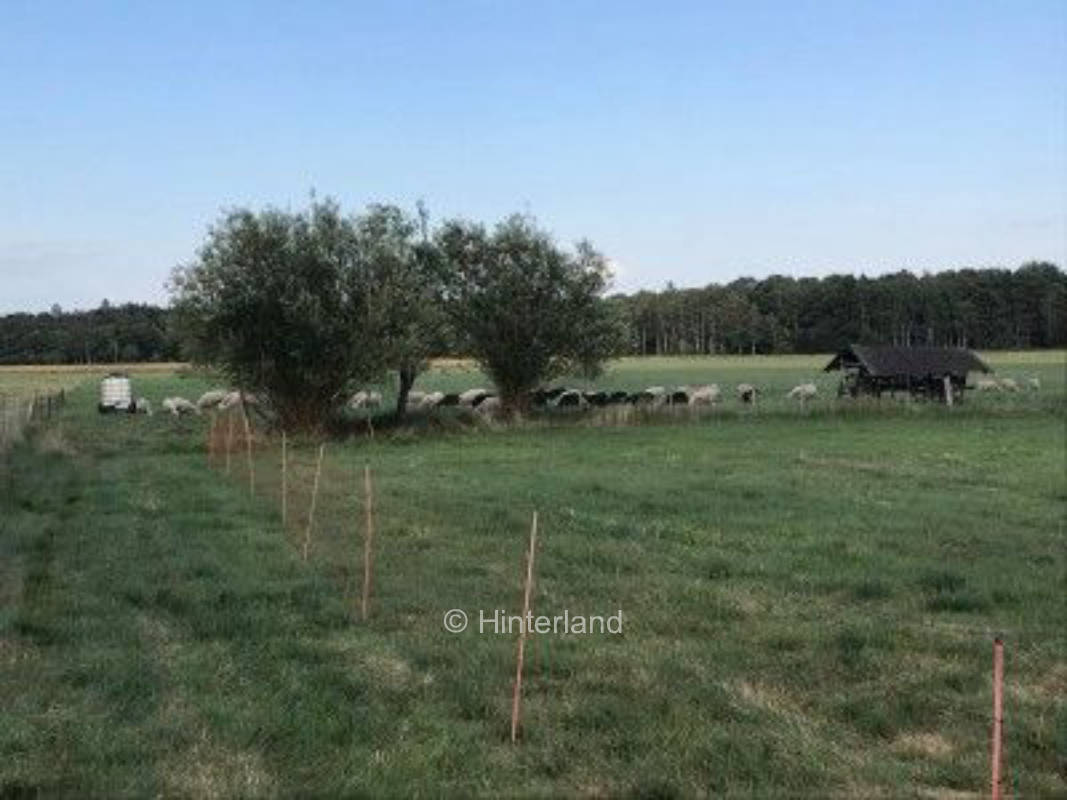 Für schwarze Schafe und Käseliebhaber, privater Stellplatz