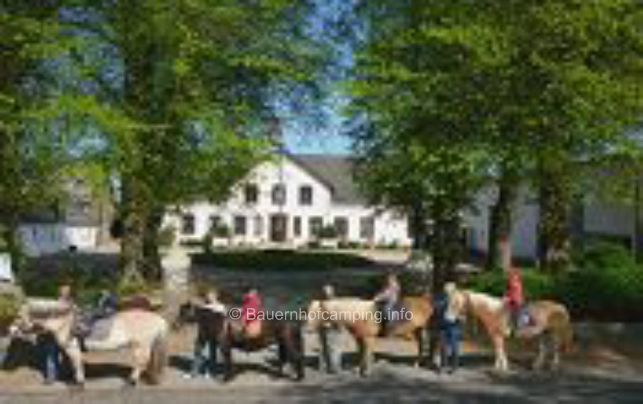 Lindenhof