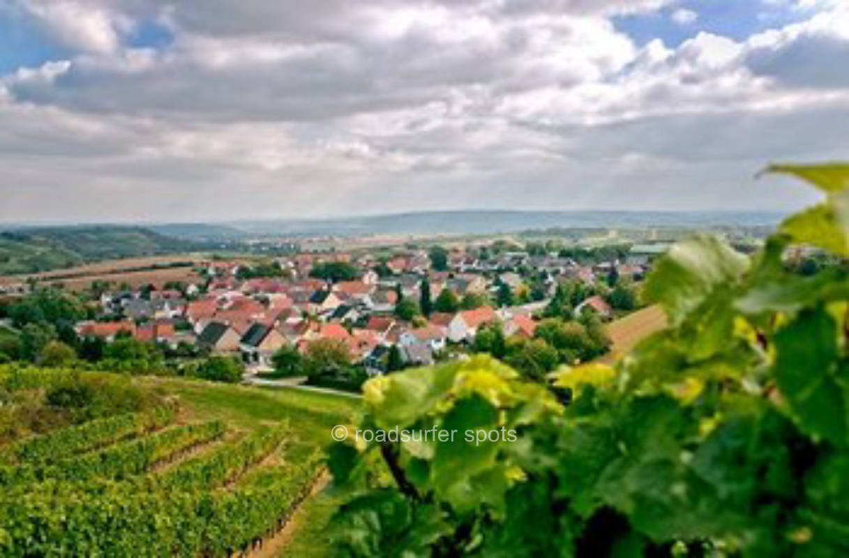Camping at the wine cellar - Gut Philippshof