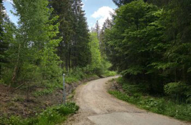 Camping am Badesee