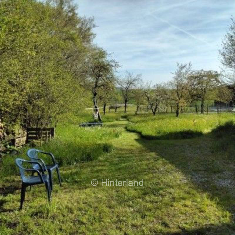 1 x place at fruit tree meadow near Rothenburg o.d.T.