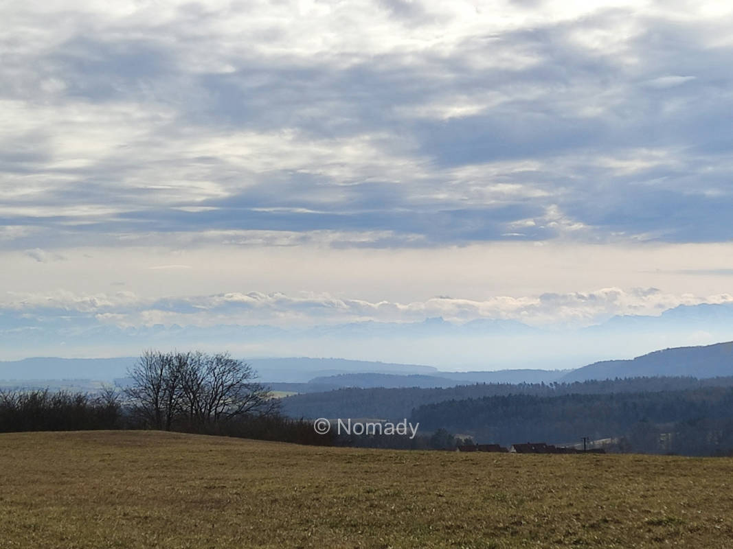 Wiese mit Fernblick in die Alpen