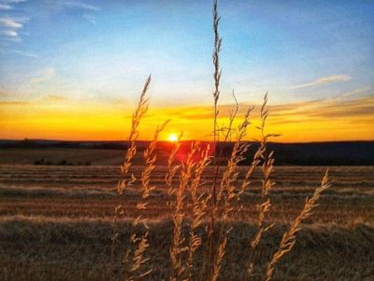 Timeout at the Ranch – View of Dreistelz and Rhön