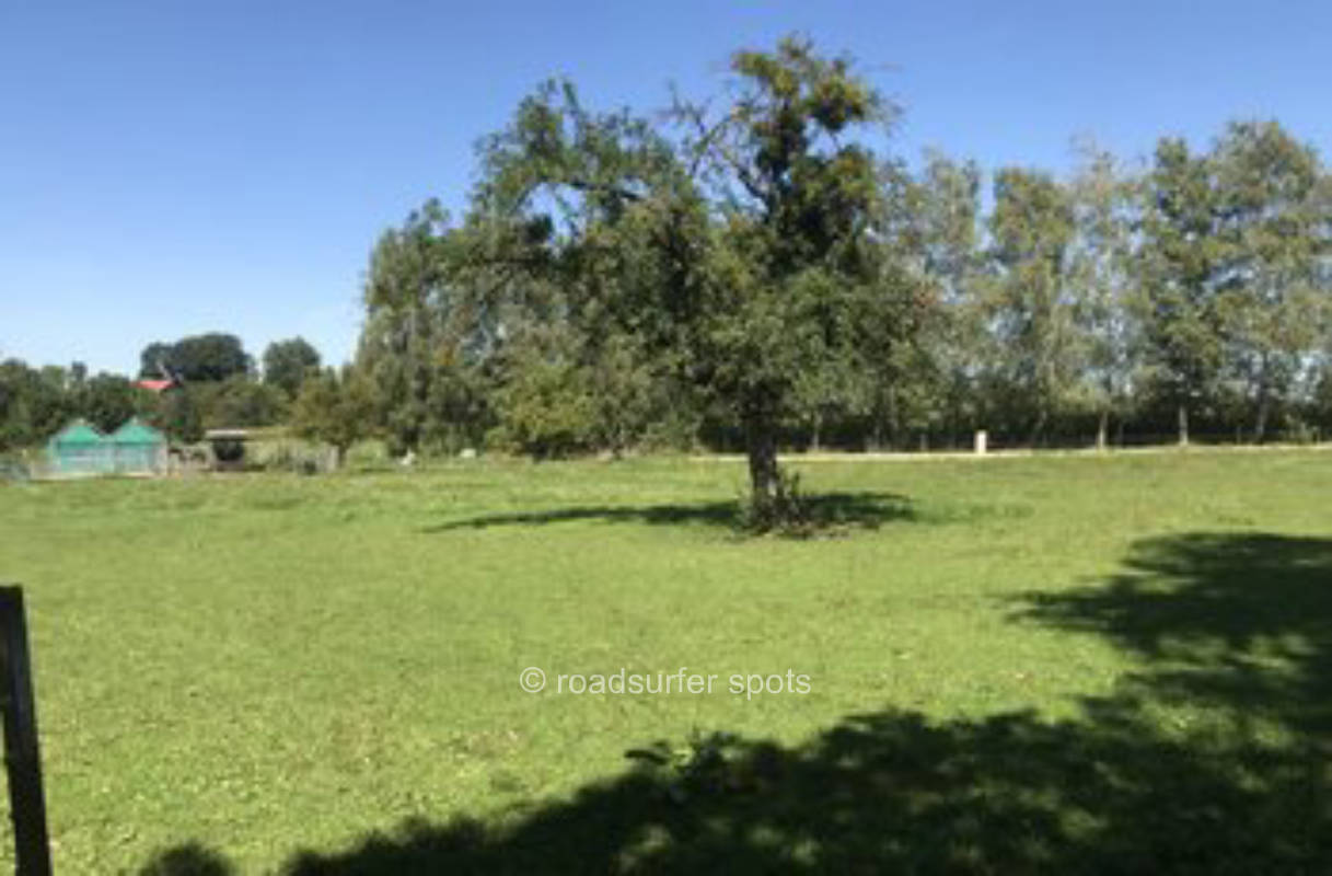 Golden Valley Ranch 