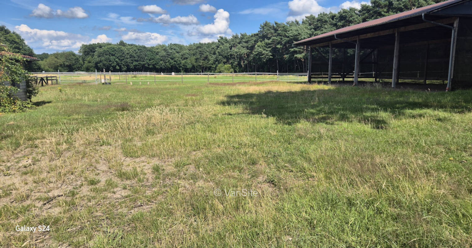 Wiese auf der Westernranch