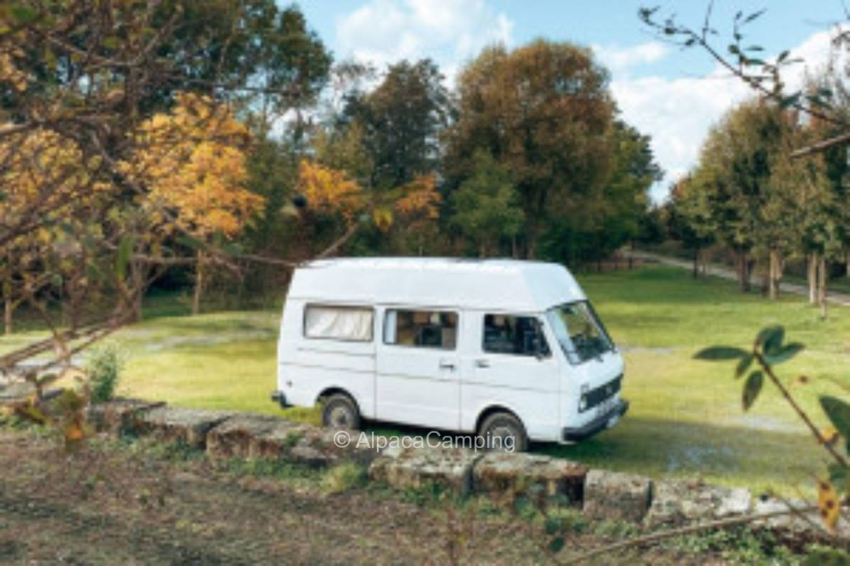 Pitch by the biotope #6