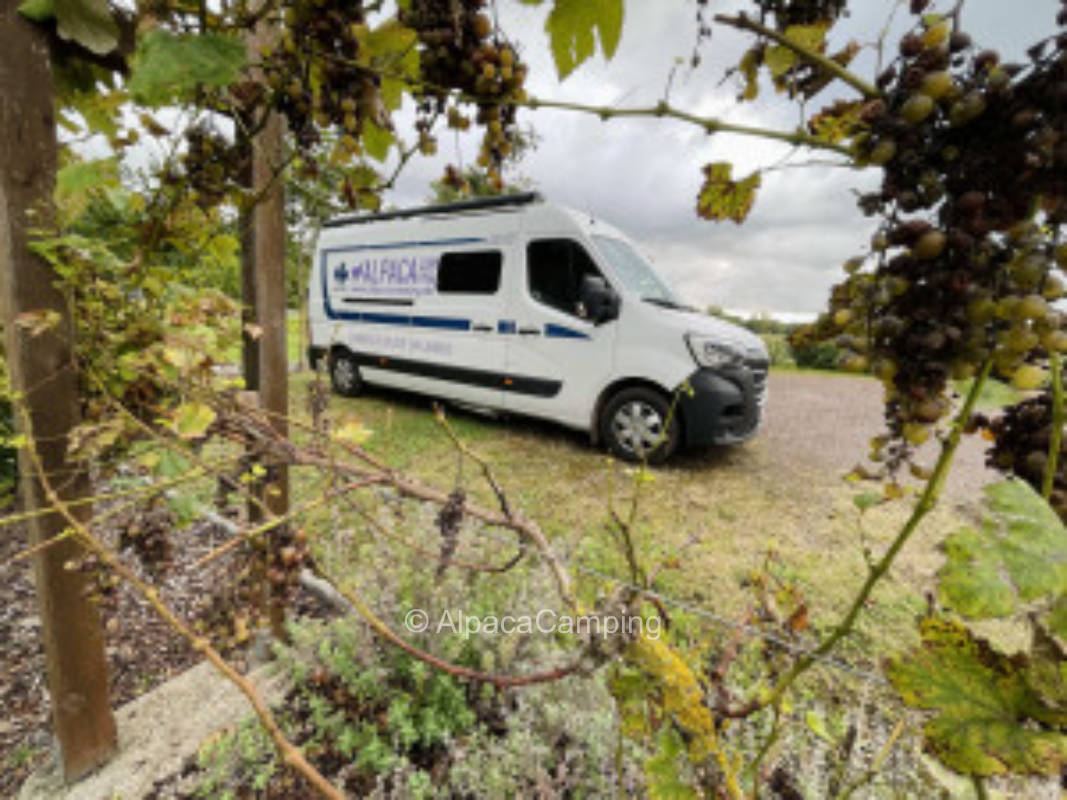 Pitch in the green part of Hassloch #6