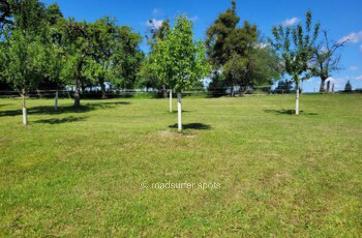 Idyllisches Camping im Obstgarten