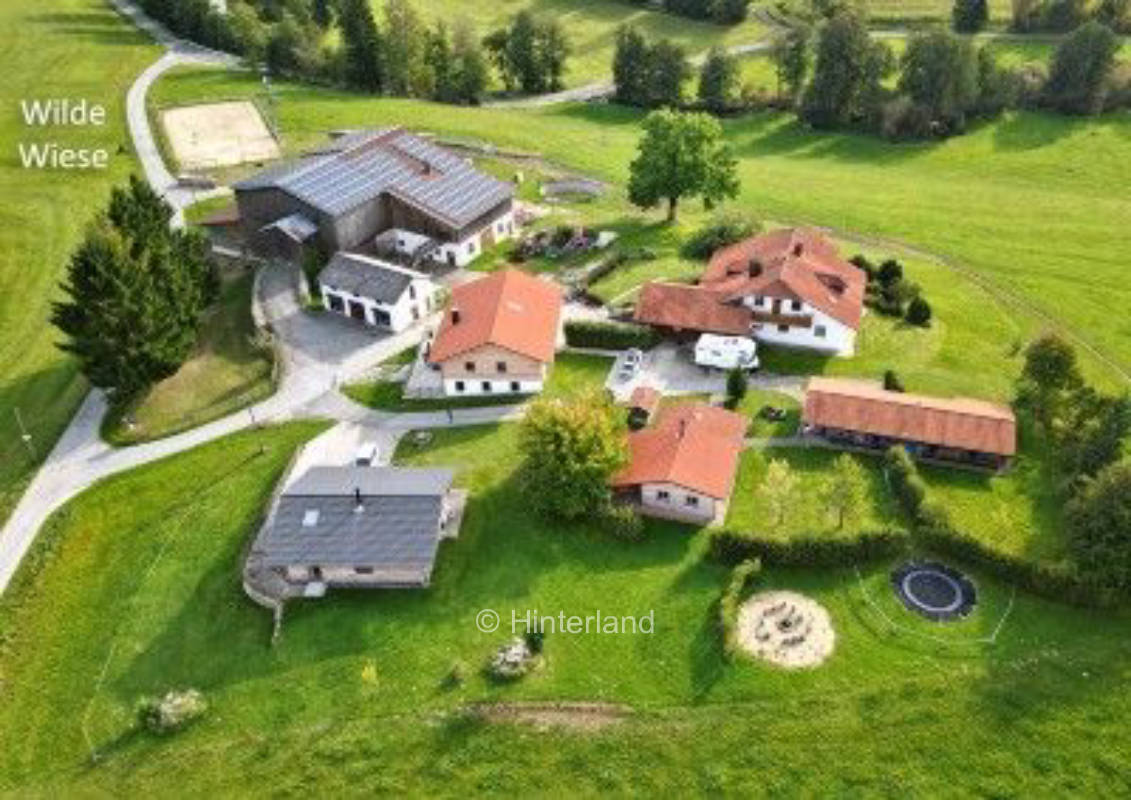 Campen auf der wilden Wiese im Bayerischen Wald