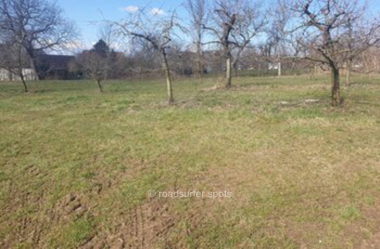 Camping im Obstgarten