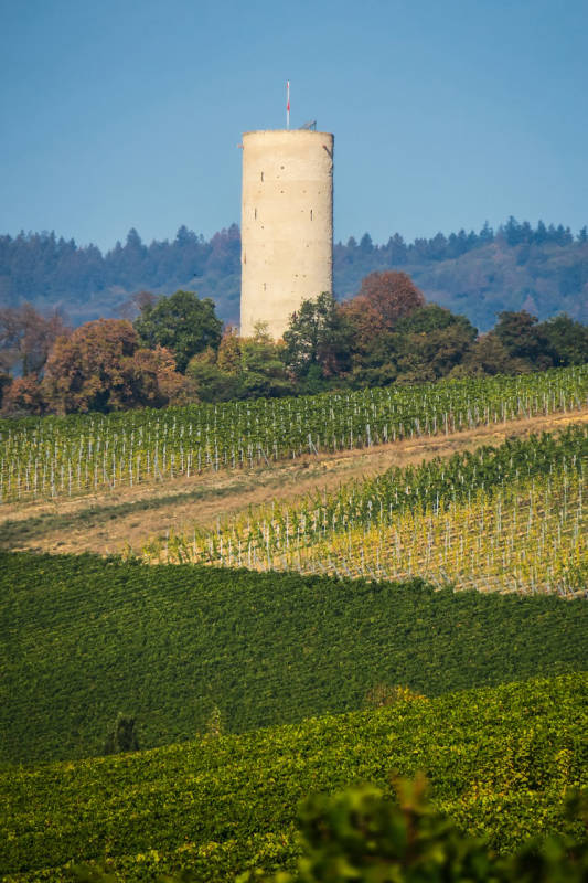 Der Rheingau - Ein möglicher Stellplatz?