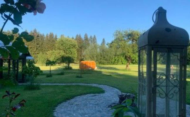 Camping among fruit trees with forest view