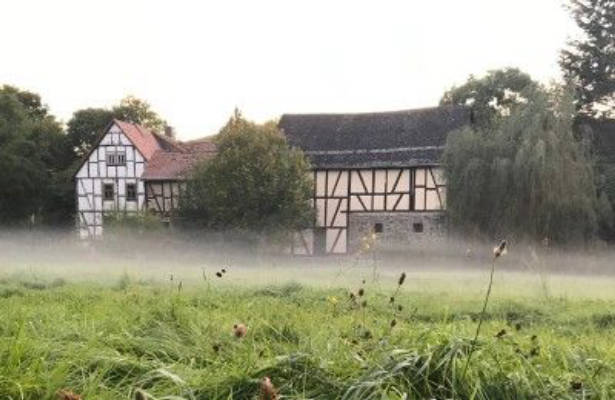 Große Wiese zwischen Wald und Mühle im Taunus
