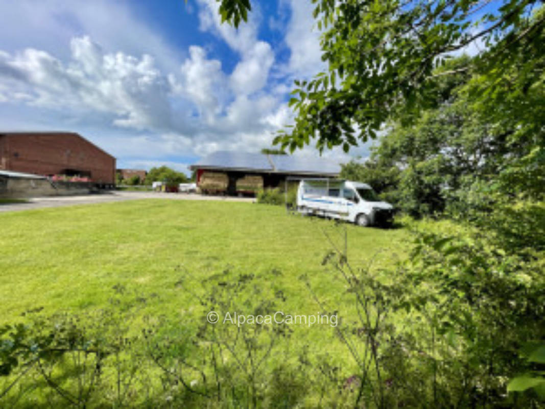 Bauernhofcamp auf Fehmarn #2