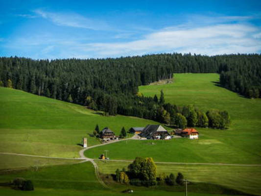 Hanisenhof