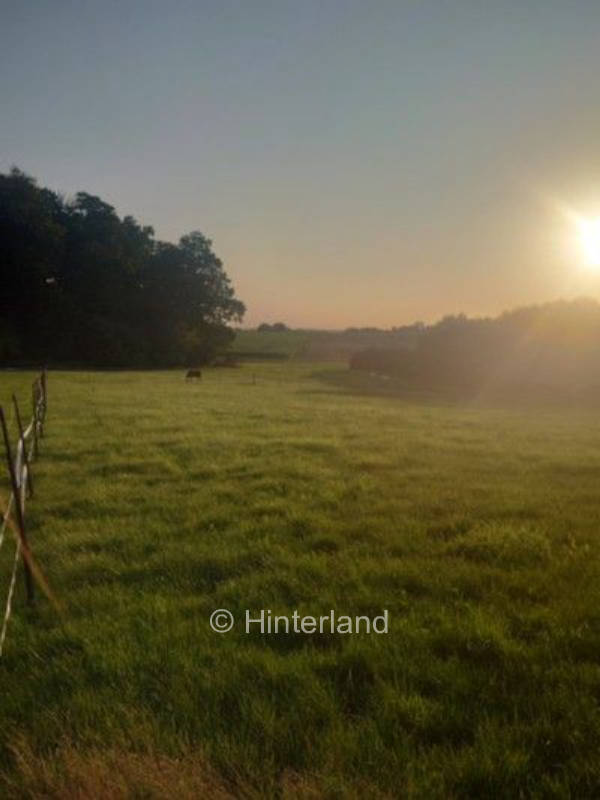 Urlaub in der Holsteinischen Schweiz in Alleinlage