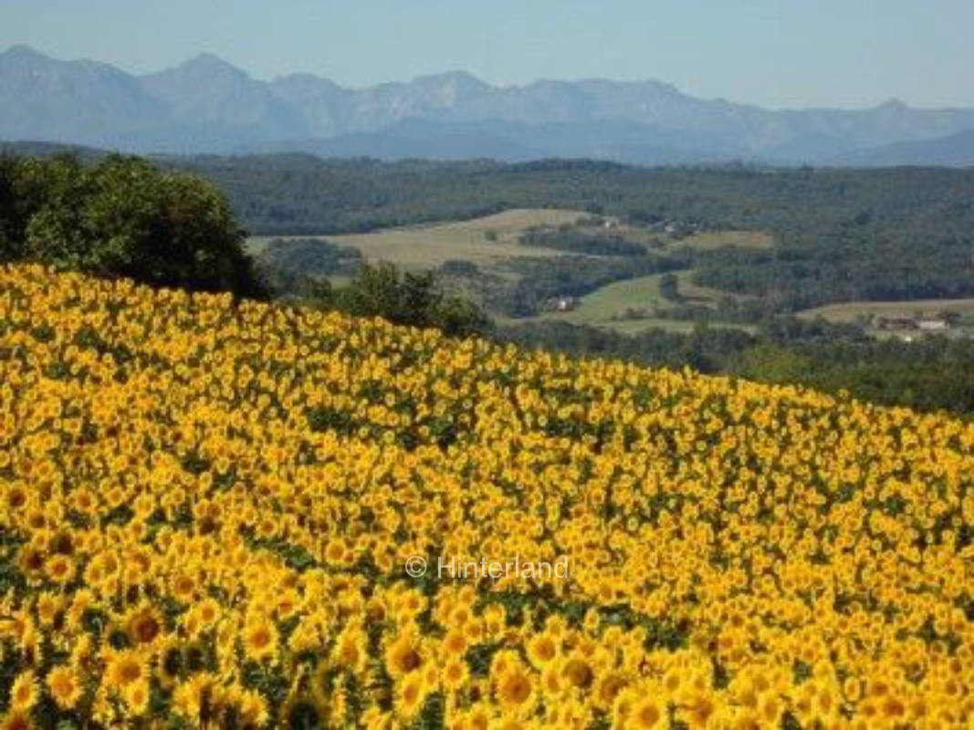 Wunderschöne Aussicht auf die Pyrenäen
