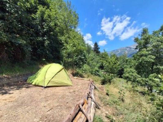 Hidden food forest campsite with mountain view