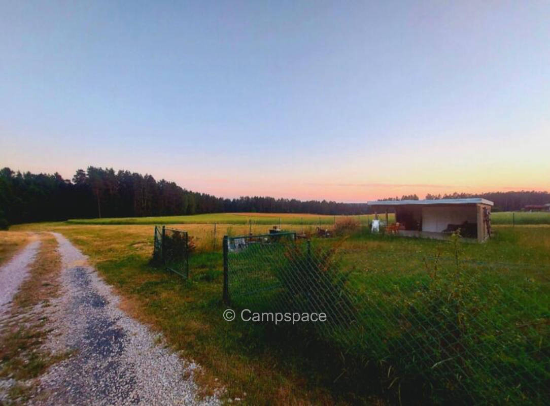 Great spot in the green with a view of the alpacas