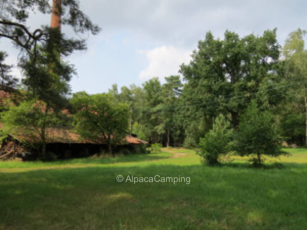 Bordenau an den Auwiesen der Leine #3