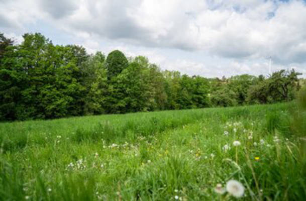 Hofacker-Wiesen Camping, Hof Stein near Busbach