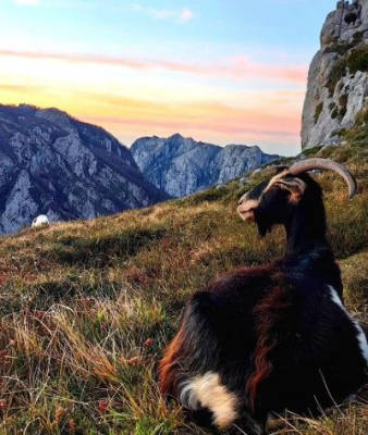 In the heart of the Picos de Europa