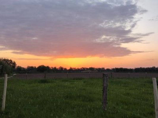 Camping at the Weser - Hawthorn and Meadow Bliss