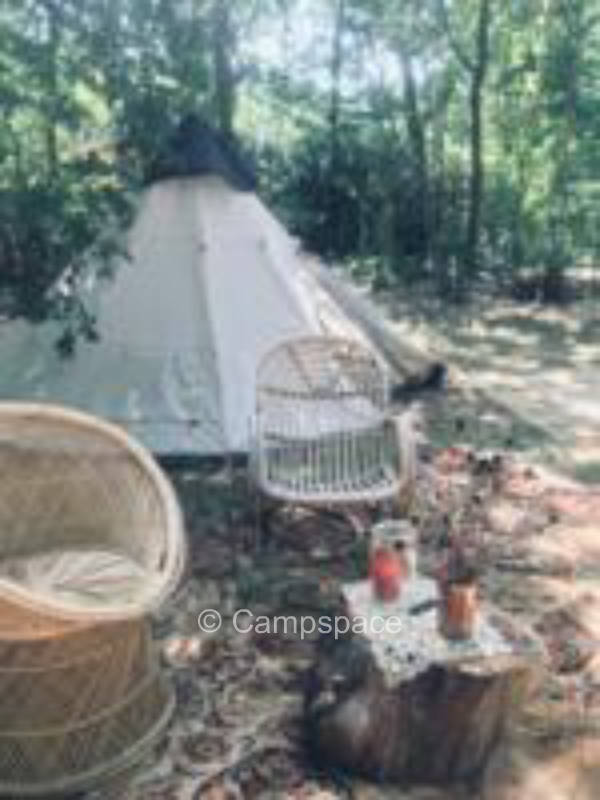 Stellplatz für Zelt im Wald (Campspace 1215)