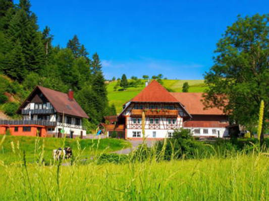 Hochenhof