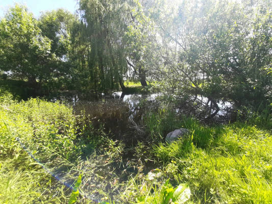 Camping on the farm by the pond