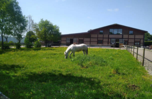 Camping on the Equestrian Farm