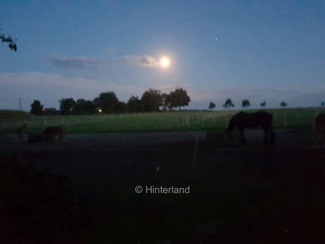 Geh doch hin, wo der Spargel wächst