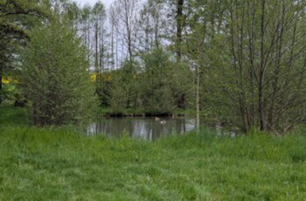 Camping at the Fish Ponds
