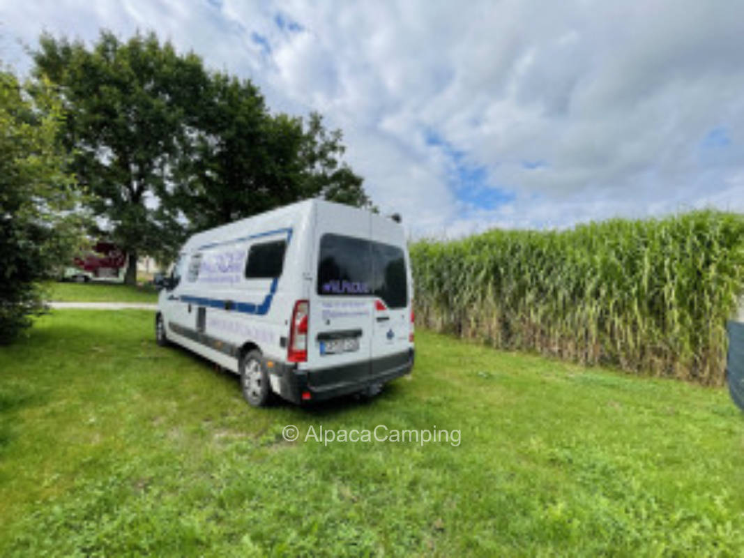 Straussenfarm & Lebenshof, ruhiger Stellplatz mitten drin #1