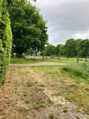 Stellplatz zwischen Pferden und Natur