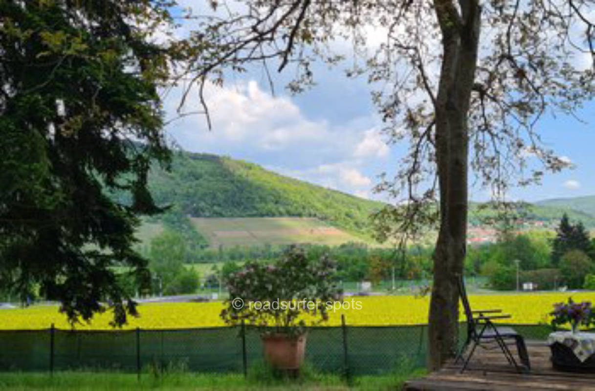 Idylischer Stellplatz am Waldrand