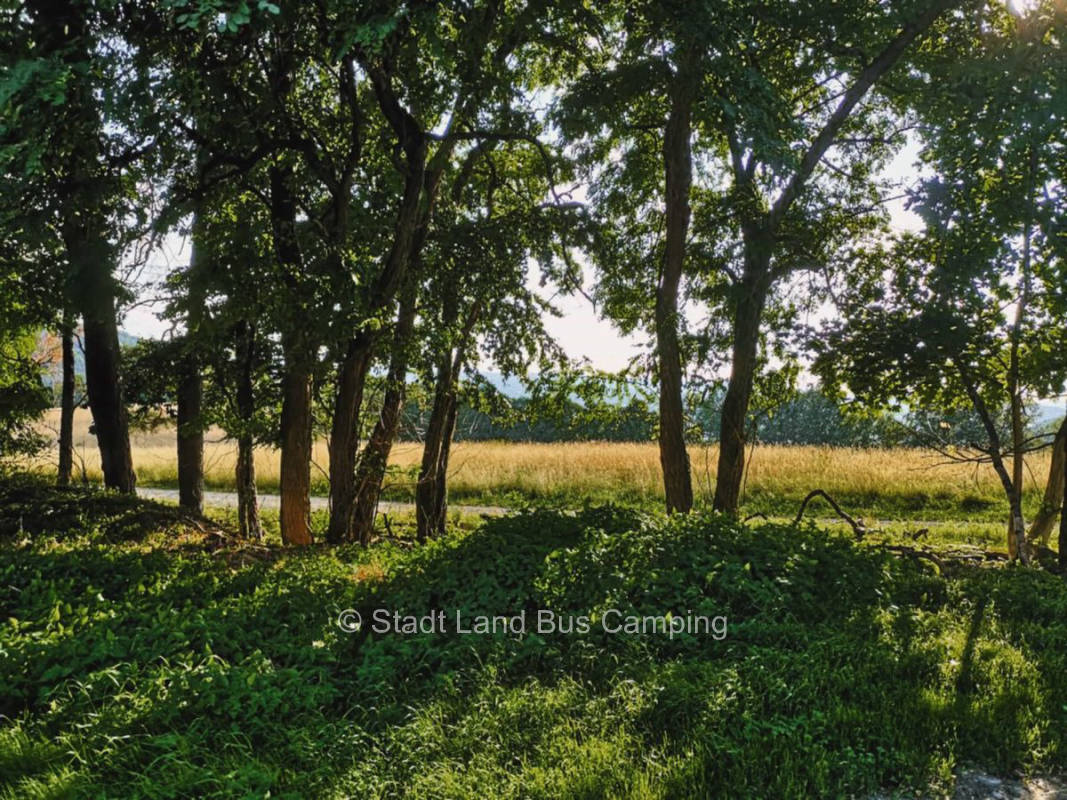 Auf dem Gut Dörnhof Kulmbach - Stellplatz Zwei