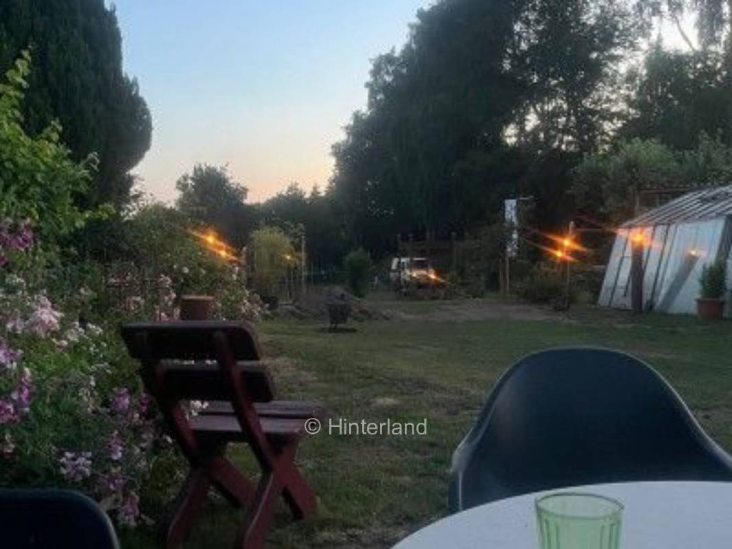 Gemütliches Camp unter den Birken