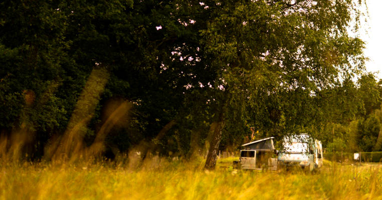 Meadow on the outskirts of the village Wokuhl (No.2)