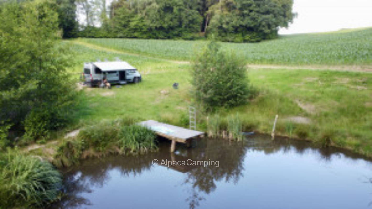 At the bathing pond #5