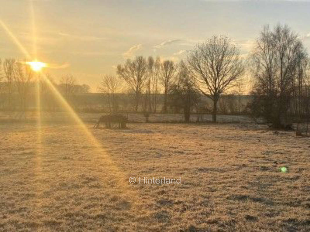 Lauschiges Plätzchen - Nahe A24 & Schwerin