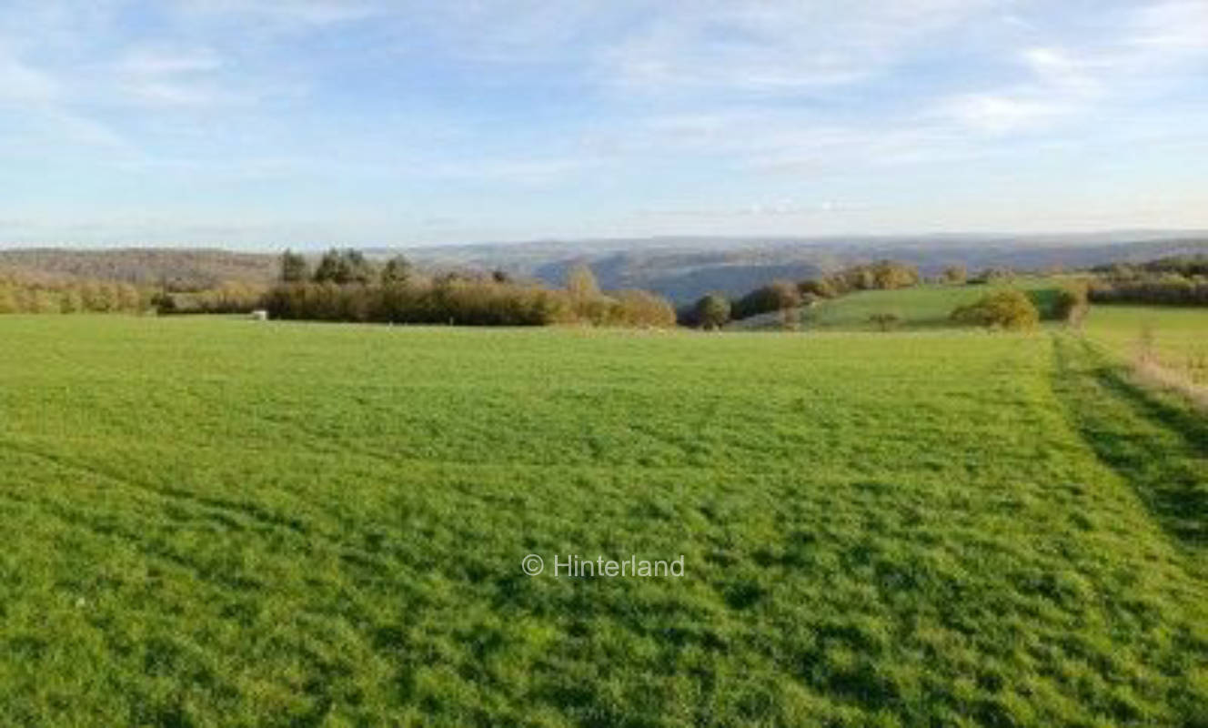 Natur pur im Dorf mitten im Naturpark Nassau 