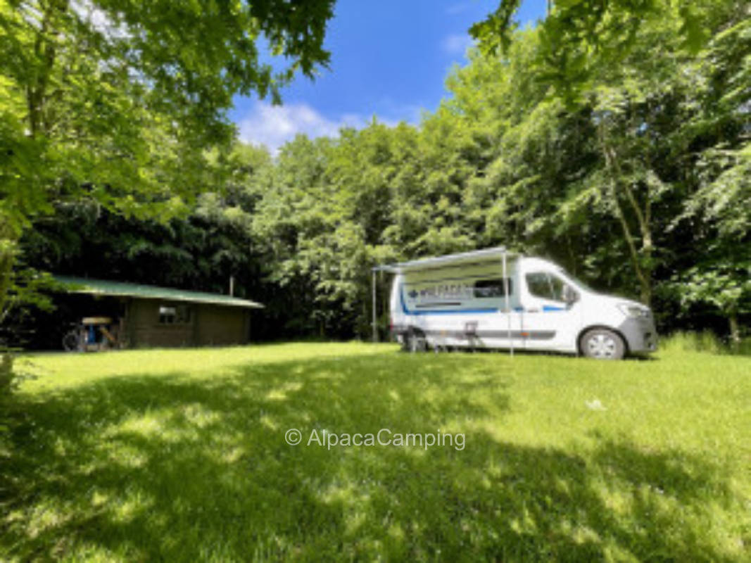 AlpacaCamping 868