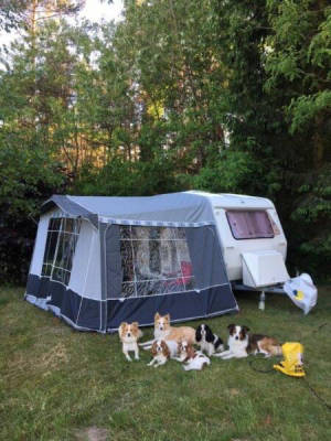 Stellplatz für Wohnmobil oder Wohnwagen mit Hund (Campspace 9023)