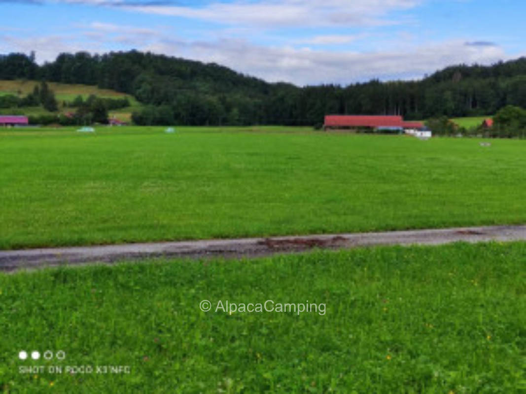 Relaxing in the nature of the Pfaffenwinkel #1
