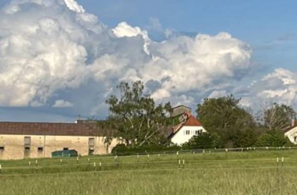 Camping on the Estate