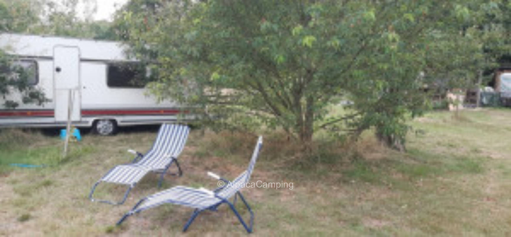 Willkommen im Niemannsland #3