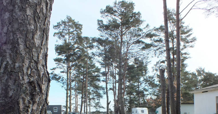 Holiday Park Buntspecht in Pruchten