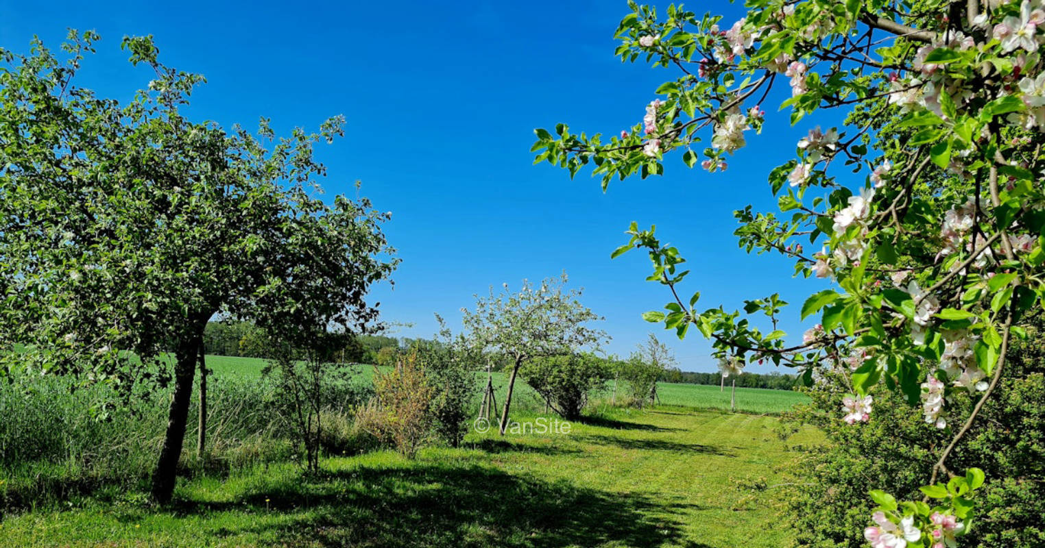 Sonnenuntergang im Spreewald