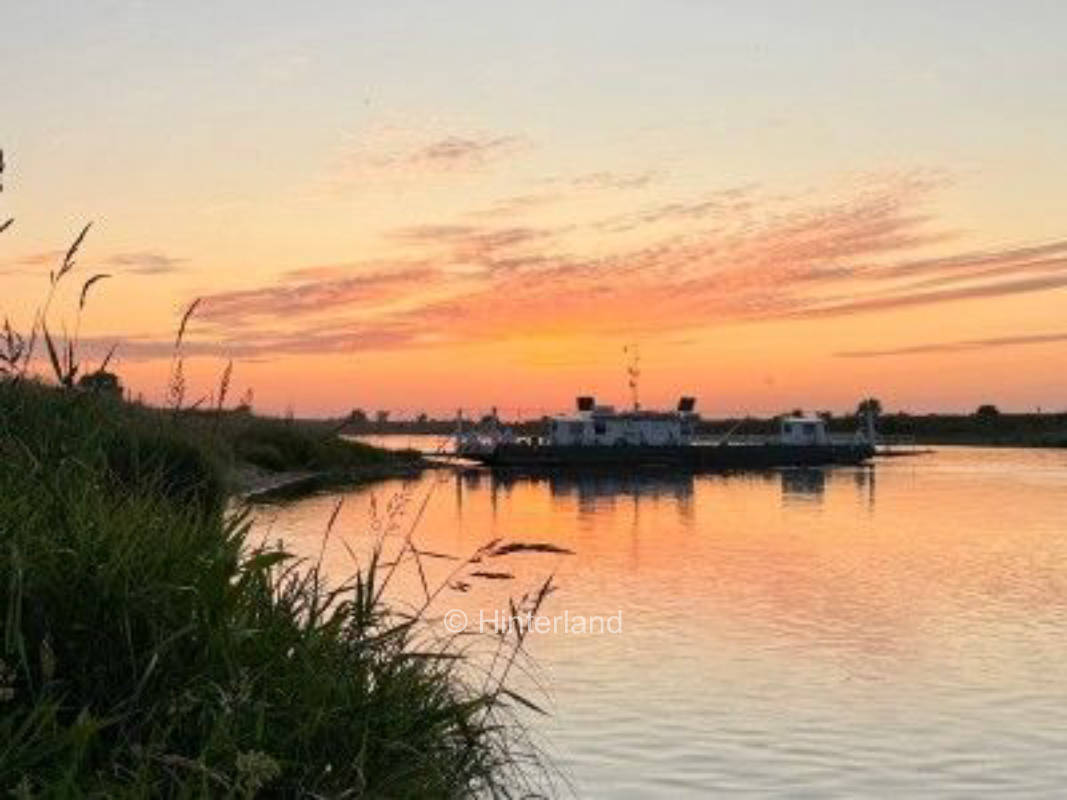Direkt an der Elbe, am Rande der Dübener Heide